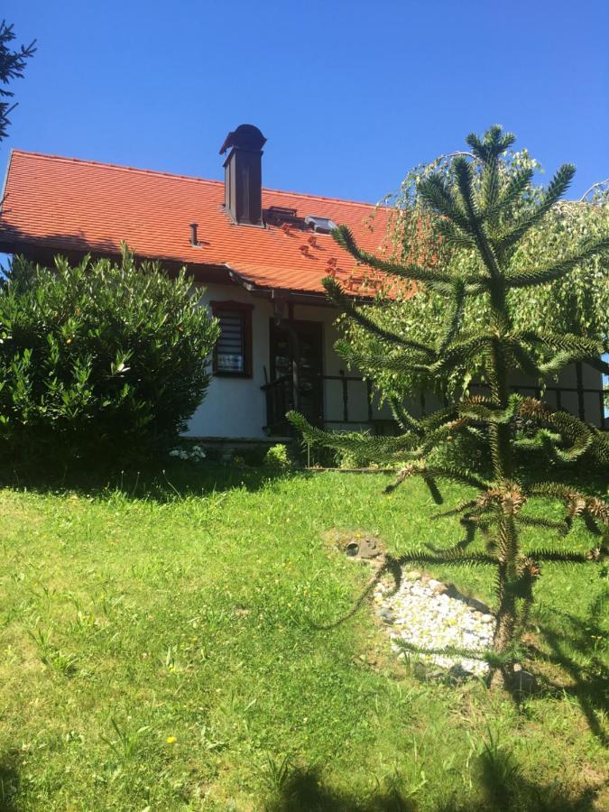 Luftkurort Lückendorf Haus Bergblick 빌라 외부 사진